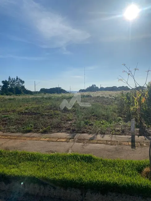 Foto 4 de Terreno / Lote à venda em Toledo - PR