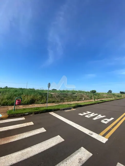 Foto 3 de Terreno / Lote à venda em Toledo - PR