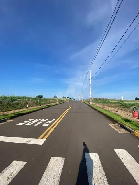 Foto 5 de Terreno / Lote à venda em Toledo - PR