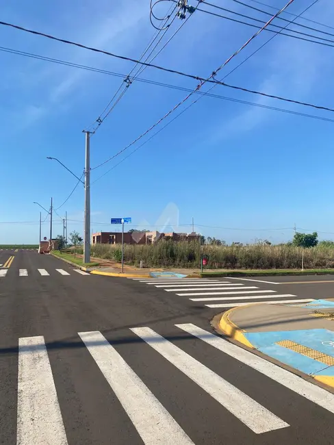 Foto 7 de Terreno / Lote à venda em Toledo - PR