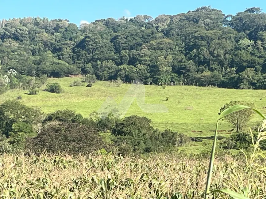 Foto 3 de Chácara à venda em Toledo - PR