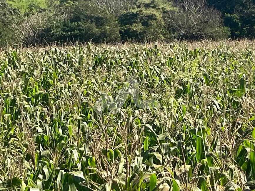 Foto 5 de Chácara à venda em Toledo - PR