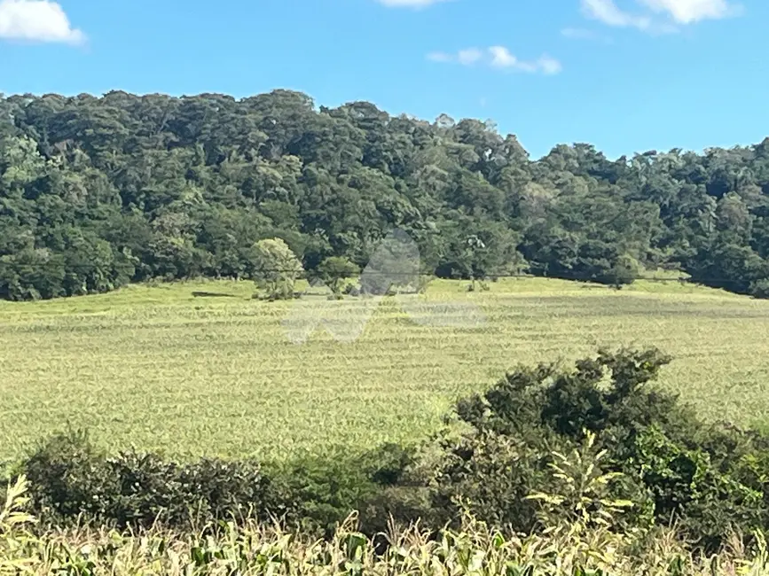 Foto 4 de Chácara à venda em Toledo - PR