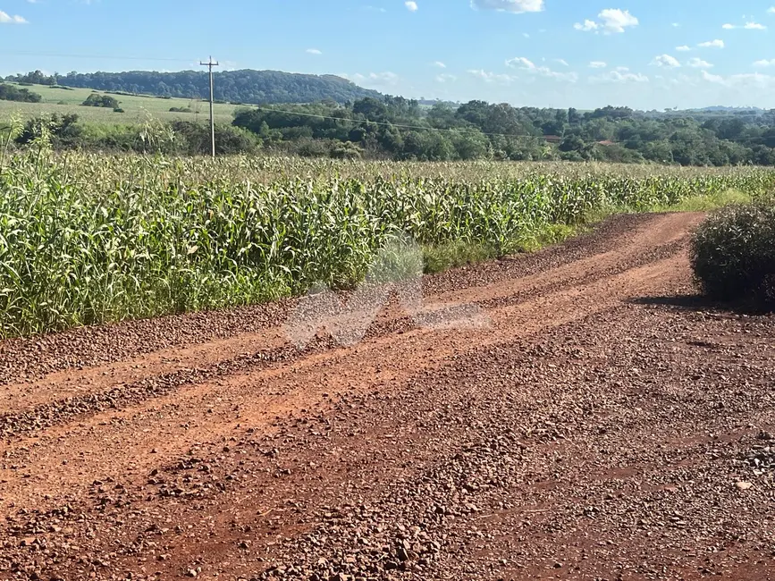 Foto 13 de Chácara à venda em Toledo - PR