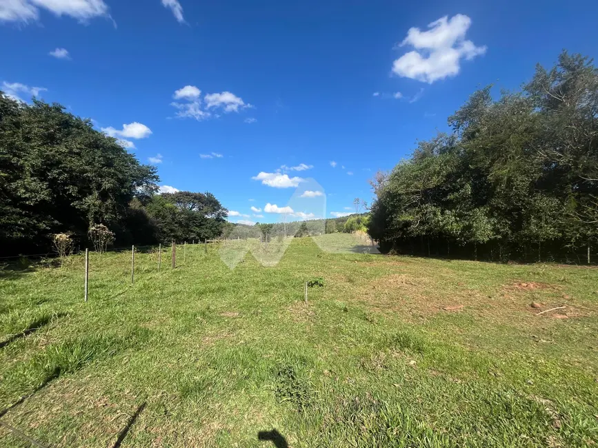 Foto 29 de Chácara à venda em Toledo - PR