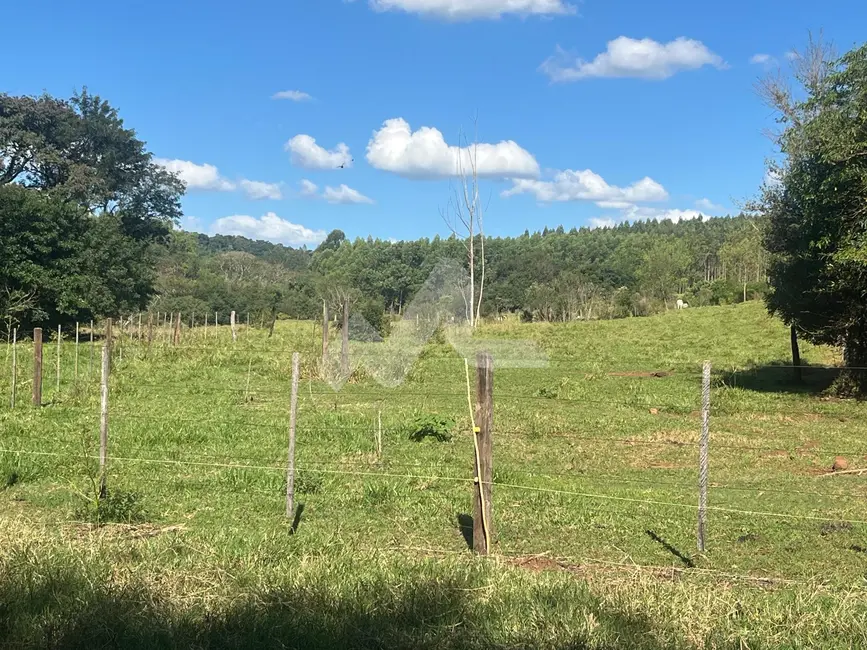Foto 27 de Chácara à venda em Toledo - PR