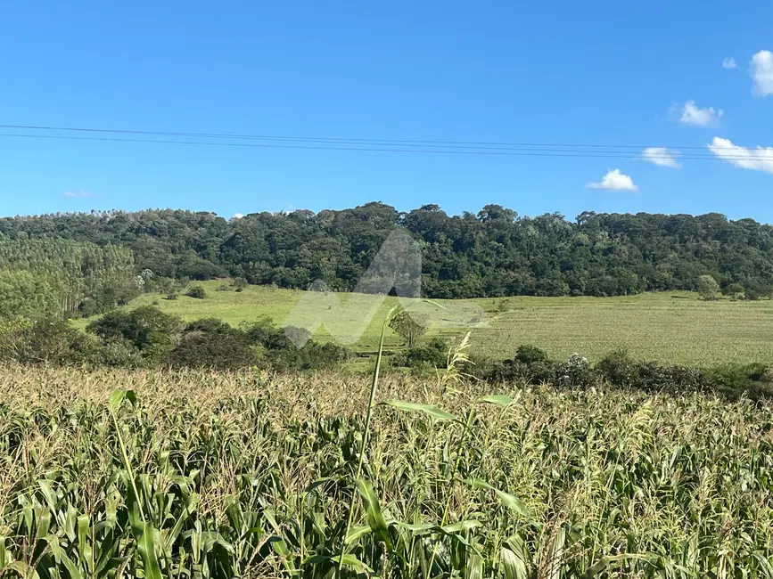 Foto 1 de Chácara à venda em Toledo - PR