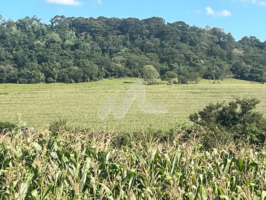 Foto 7 de Chácara à venda em Toledo - PR