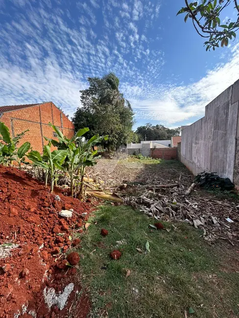 Foto 2 de Terreno / Lote à venda, 359m2 em São Francisco, Toledo - PR