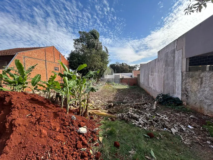 Terreno / Lote à venda, 359m2 em São Francisco, Toledo - PR - imagem 3 Foto 3 de Terreno / Lote à venda, 359m2 em São Francisco, Toledo - PR