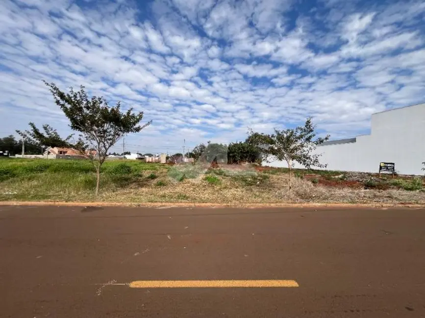 Terreno / Lote à venda em Vila Industrial, Toledo - PR - imagem 1 Foto 1 de Terreno / Lote à venda em Vila Industrial, Toledo - PR