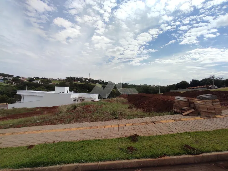 Terreno / Lote à venda, 360m2 em Centro, Toledo - PR - imagem 1 Foto 1 de Terreno / Lote à venda, 360m2 em Centro, Toledo - PR