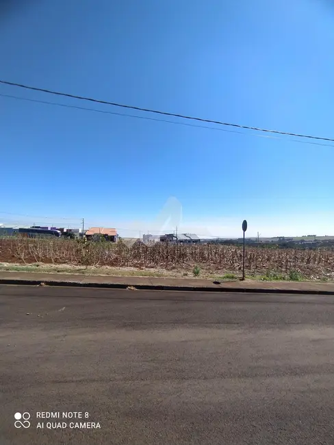 Foto 2 de Terreno / Lote à venda, 450m2 em Centro, Sao Pedro Do Iguacu - PR