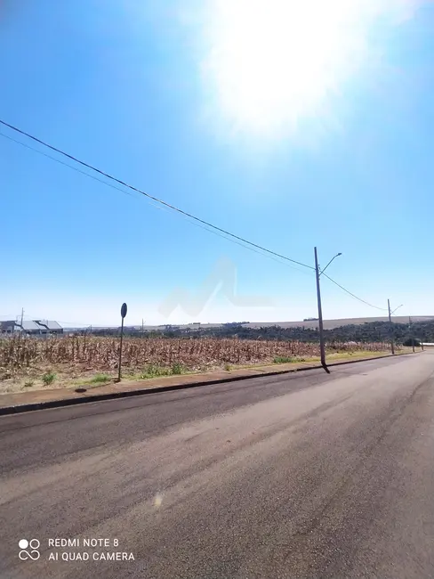 Foto 1 de Terreno / Lote à venda, 450m2 em Centro, Sao Pedro Do Iguacu - PR