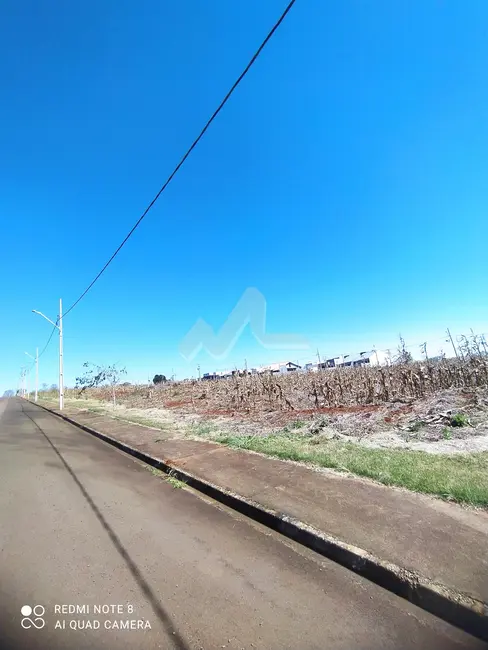 Terreno / Lote à venda, 450m2 em Centro, Sao Pedro Do Iguacu - PR - imagem 4 Foto 4 de Terreno / Lote à venda, 450m2 em Centro, Sao Pedro Do Iguacu - PR