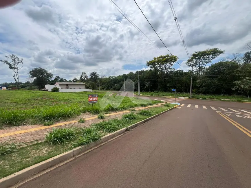 Terreno / Lote à venda, 367m2 em Tocantins, Toledo - PR - imagem 4 Foto 4 de Terreno / Lote à venda, 367m2 em Tocantins, Toledo - PR