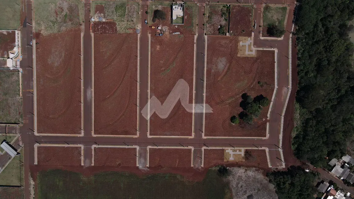 Terreno / Lote à venda, 500m2 em Palotina - PR - imagem 3 Foto 3 de Terreno / Lote à venda, 500m2 em Palotina - PR