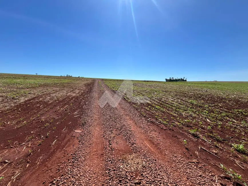 Fazenda / Haras à venda, 24000m2 em Toledo - PR - imagem 8 Foto 8 de Fazenda / Haras à venda, 24000m2 em Toledo - PR