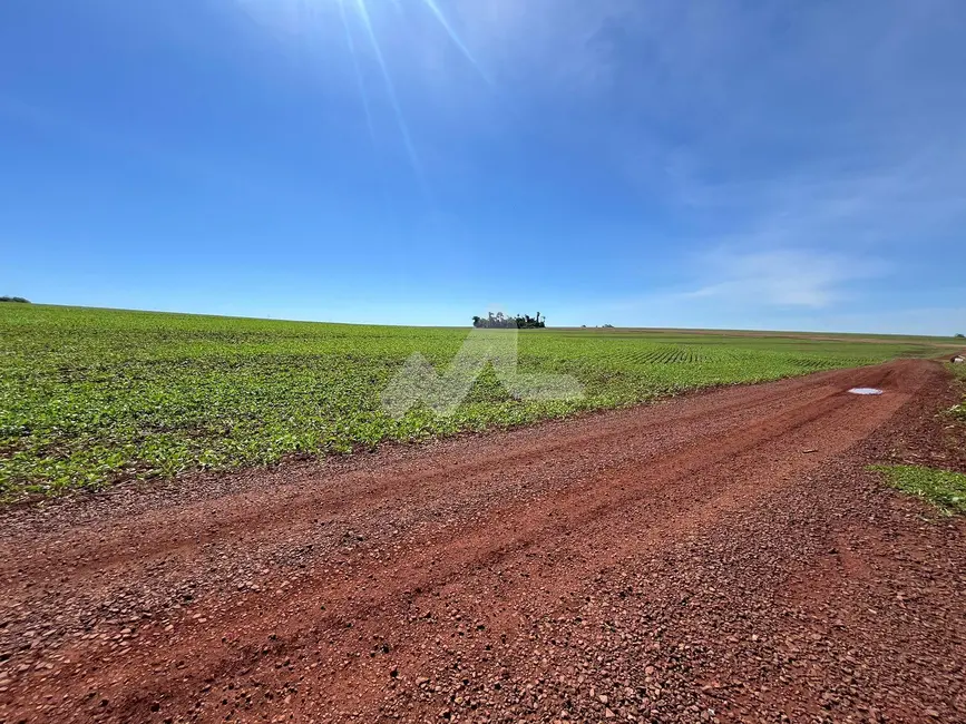 Fazenda / Haras à venda, 24000m2 em Toledo - PR - imagem 4 Foto 4 de Fazenda / Haras à venda, 24000m2 em Toledo - PR