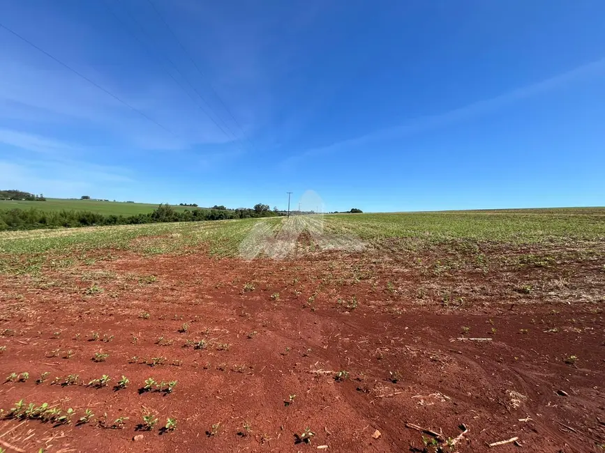 Fazenda / Haras à venda, 24000m2 em Toledo - PR - imagem 7 Foto 7 de Fazenda / Haras à venda, 24000m2 em Toledo - PR