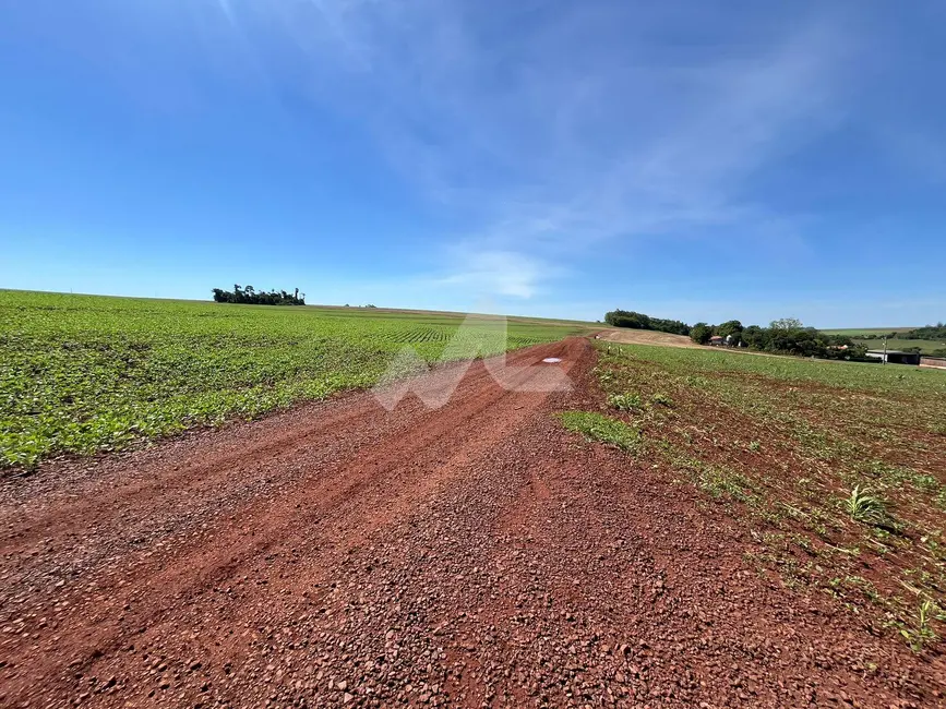 Fazenda / Haras à venda, 24000m2 em Toledo - PR - imagem 6 Foto 6 de Fazenda / Haras à venda, 24000m2 em Toledo - PR