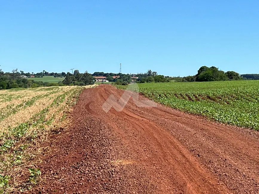Fazenda / Haras à venda, 24000m2 em Toledo - PR - imagem 3 Foto 3 de Fazenda / Haras à venda, 24000m2 em Toledo - PR