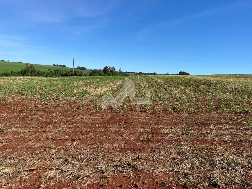 Fazenda / Haras à venda, 24000m2 em Toledo - PR - imagem 9 Foto 9 de Fazenda / Haras à venda, 24000m2 em Toledo - PR