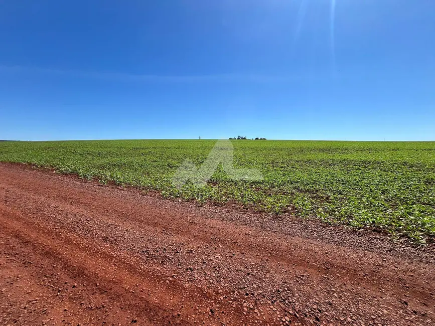 Fazenda / Haras à venda, 24000m2 em Toledo - PR - imagem 2 Foto 2 de Fazenda / Haras à venda, 24000m2 em Toledo - PR