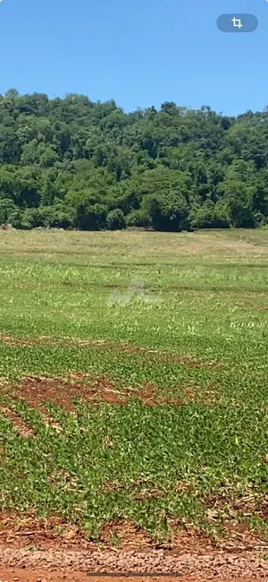 Foto 5 de Chácara à venda em Toledo - PR