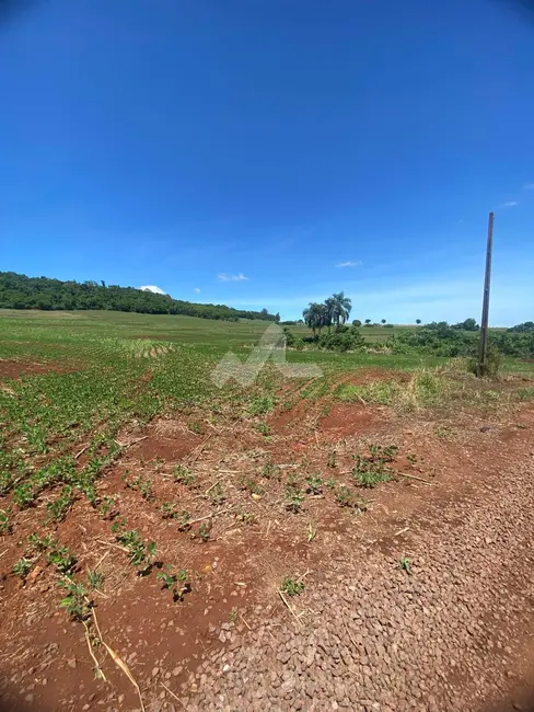 Foto 3 de Chácara à venda em Toledo - PR
