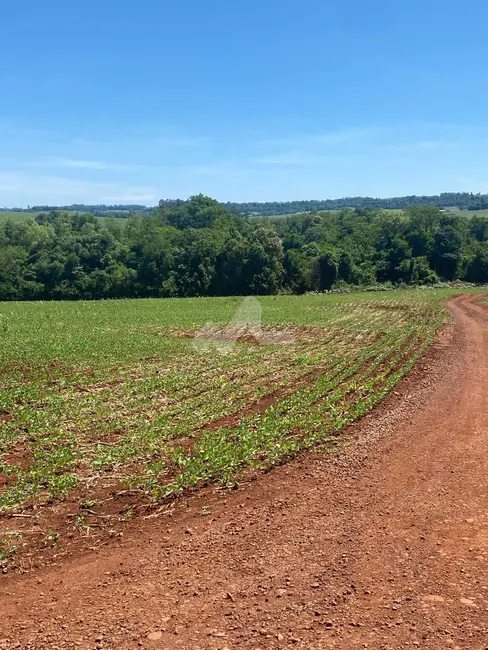 Foto 14 de Chácara à venda em Toledo - PR