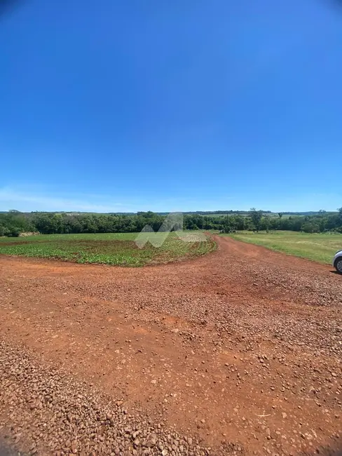 Foto 7 de Chácara à venda em Toledo - PR