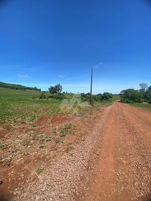 Foto 6 de Chácara à venda em Toledo - PR