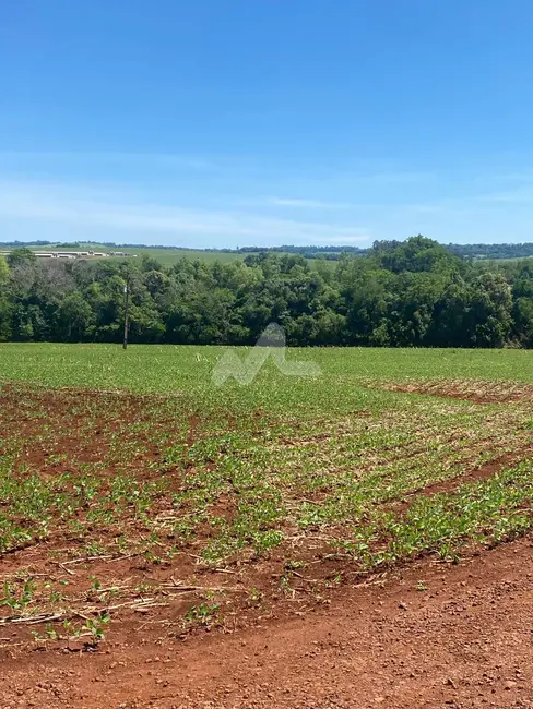 Foto 13 de Chácara à venda em Toledo - PR
