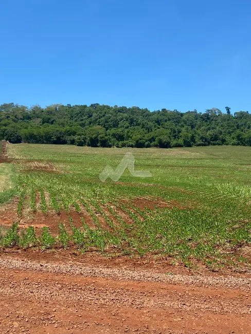 Foto 10 de Chácara à venda em Toledo - PR