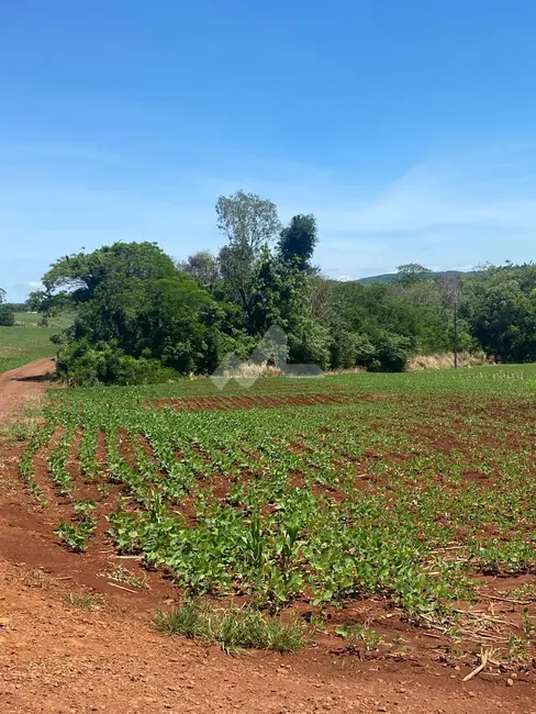 Foto 12 de Chácara à venda em Toledo - PR