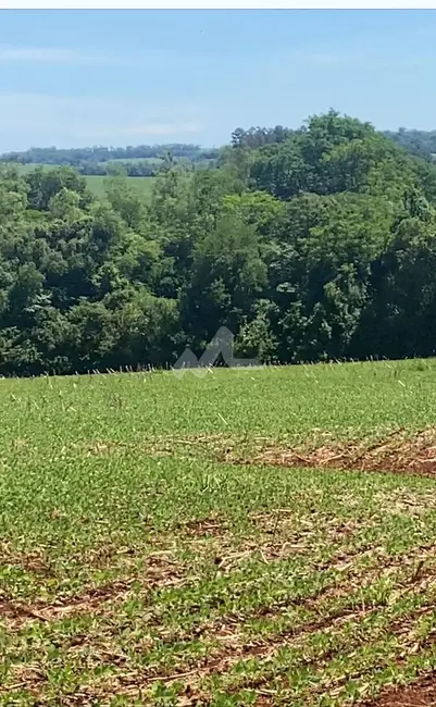 Foto 4 de Chácara à venda em Toledo - PR