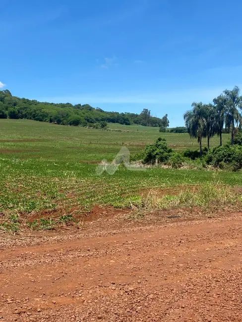 Foto 15 de Chácara à venda em Toledo - PR