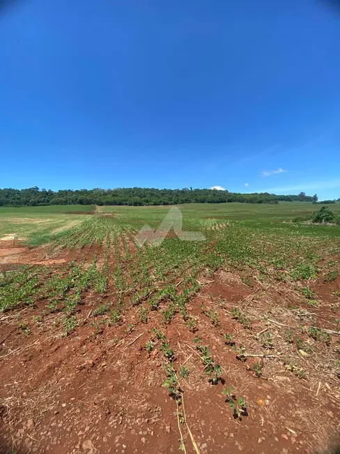 Foto 2 de Chácara à venda em Toledo - PR