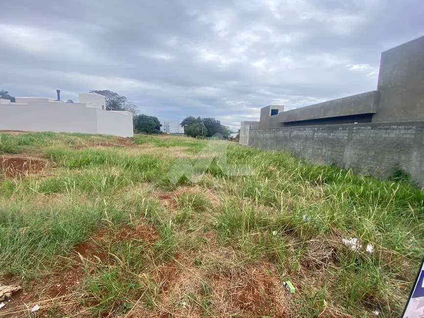 Foto 1 de Terreno / Lote à venda, 416m2 em Jardim Pancera, Toledo - PR