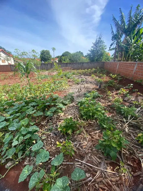 Terreno / Lote à venda, 1000m2 em Toledo - PR - imagem 3 Foto 3 de Terreno / Lote à venda, 1000m2 em Toledo - PR
