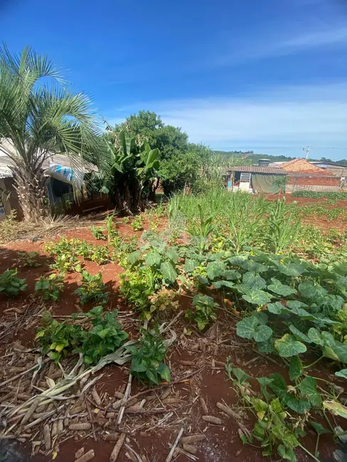 Terreno / Lote à venda, 1000m2 em Toledo - PR - imagem 4 Foto 4 de Terreno / Lote à venda, 1000m2 em Toledo - PR