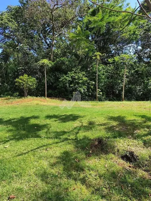 Chácara à venda, 24000m2 em Quatro Pontes - PR - imagem 9 Foto 9 de Chácara à venda, 24000m2 em Quatro Pontes - PR