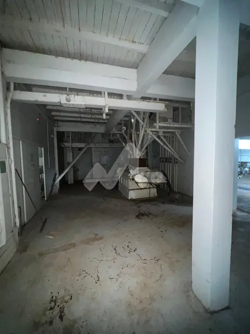 Foto 2 de Armazém / Galpão para alugar, 300m2 em Palotina - PR