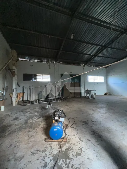 Foto 6 de Armazém / Galpão para alugar, 300m2 em Palotina - PR