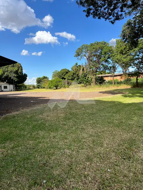 Foto 8 de Armazém / Galpão para alugar, 300m2 em Palotina - PR