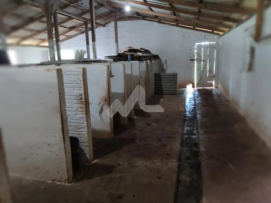 Foto 16 de Chácara à venda em Missal - PR