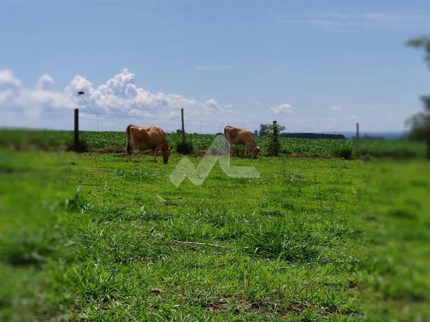 Foto 28 de Chácara à venda em Missal - PR