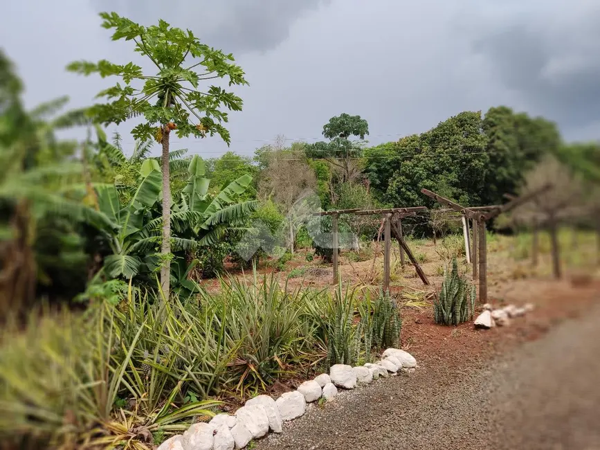 Foto 10 de Chácara à venda em Missal - PR