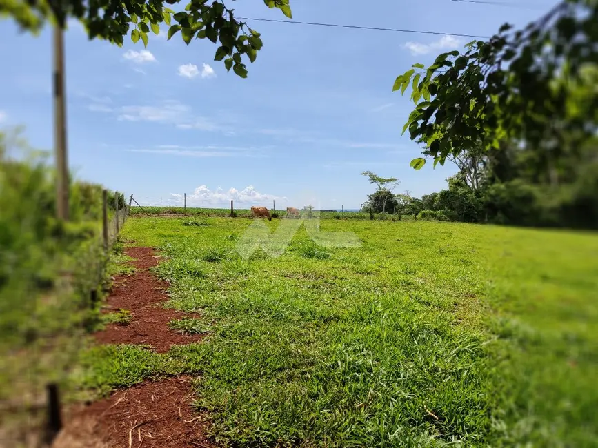 Foto 2 de Chácara à venda em Missal - PR